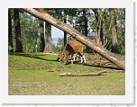 Dierentuin Burgers  Zoo 013 * 3648 x 2736 * (7.18MB)
